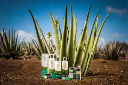 12525571_1653790984884140_8949380755728886217_o